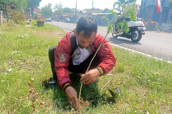 Penanam Bibit Pohon Trembesi di Jl. Raya Garum Kab Blitar