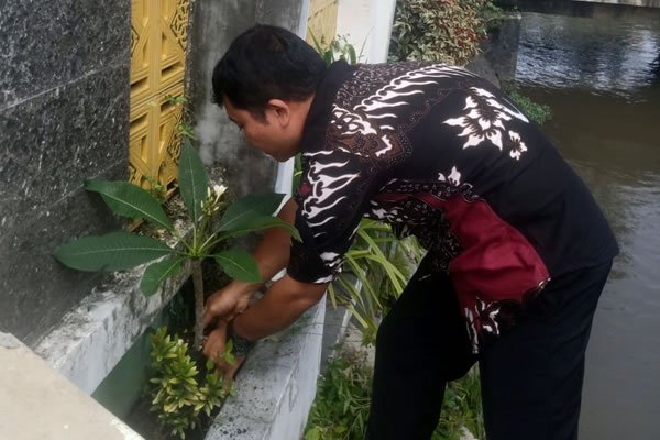 Menanam Kamboja di Taman Masjid Kemenag