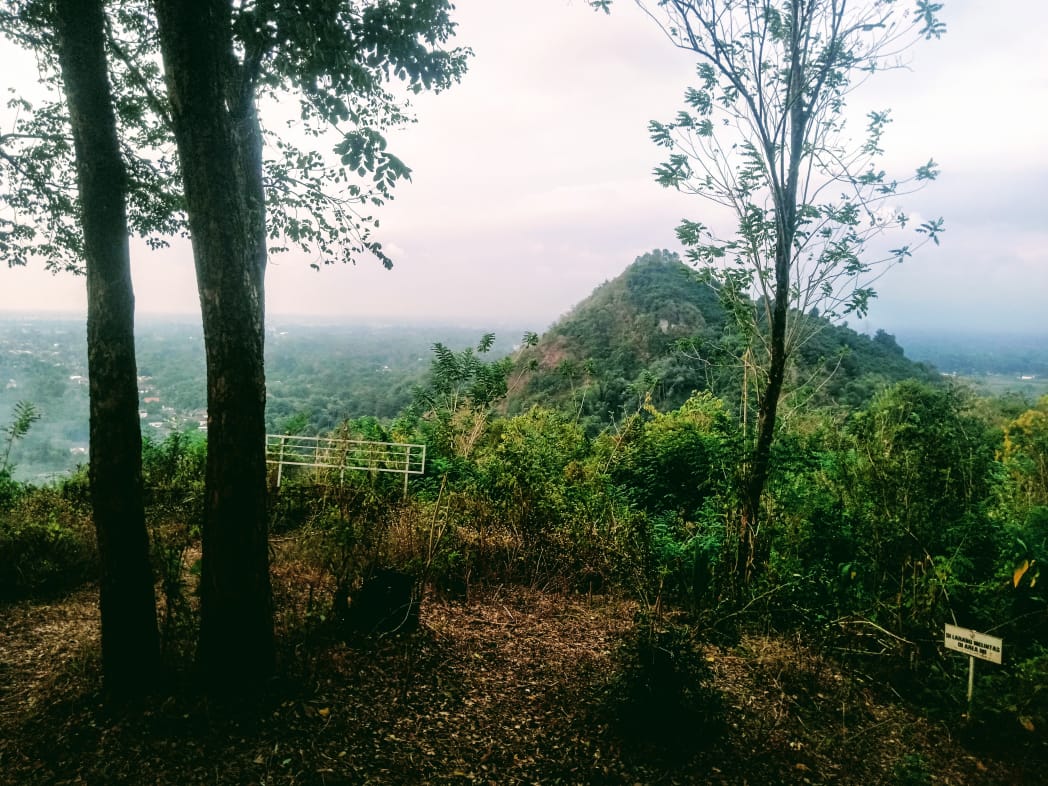 Merawat Istana Naga Hijau
